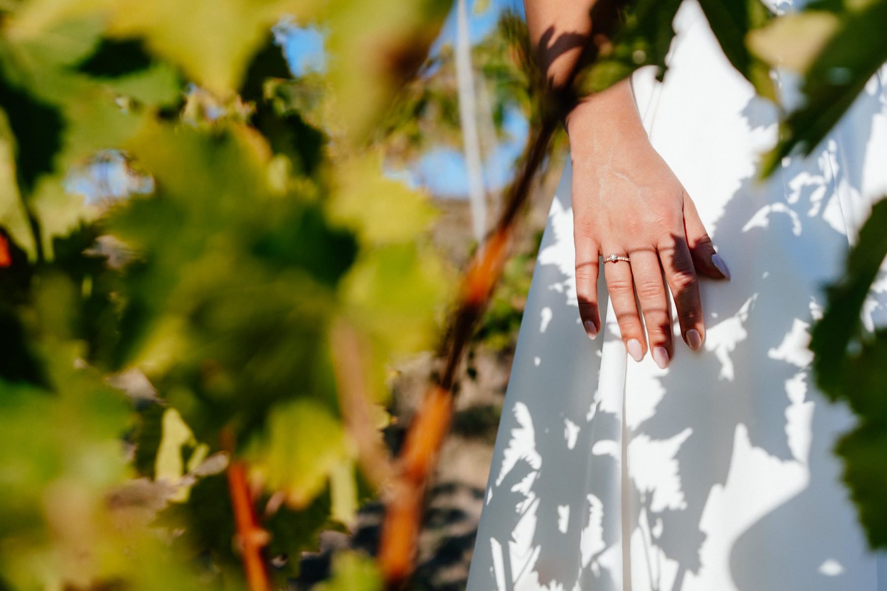 Proposal in Piedmont, Langhe. Photographer Edoardo Giorio