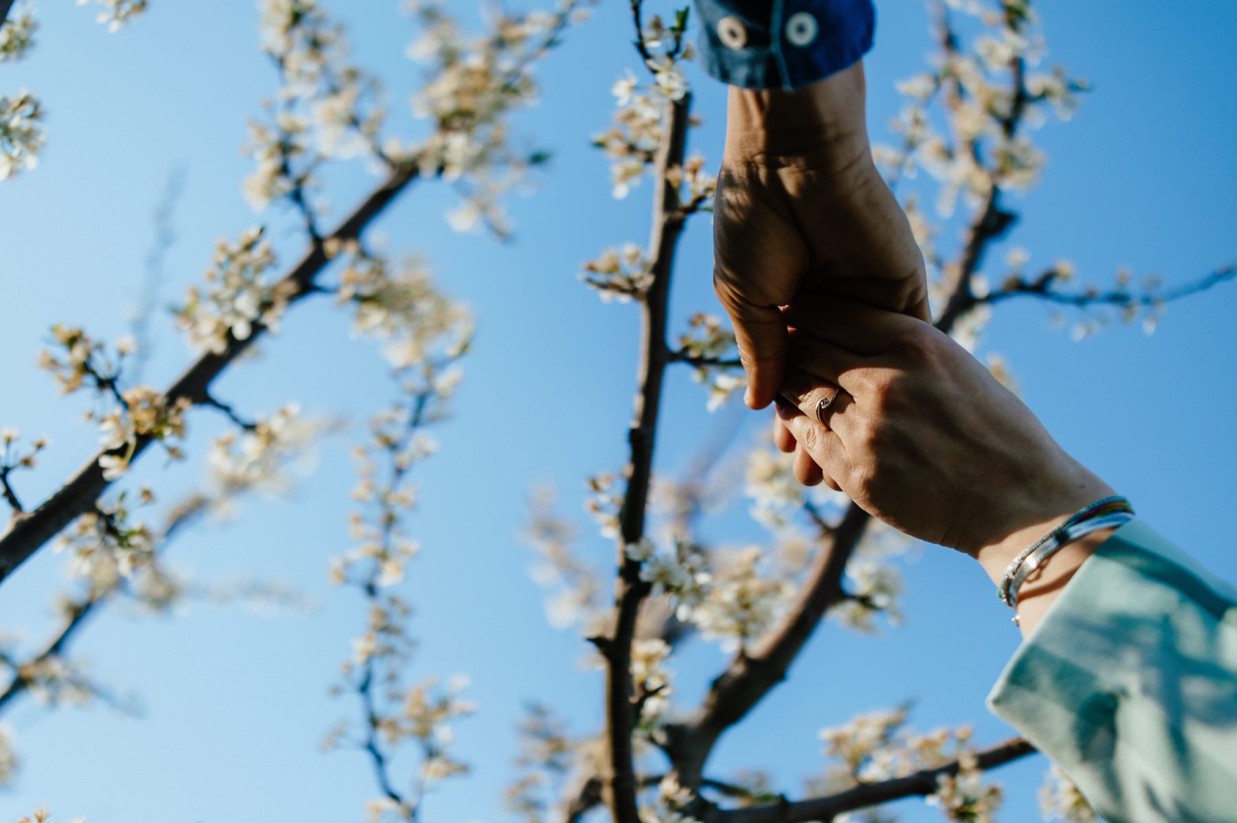 Proposal in Piedmont, Langhe. Photographer Edoardo Giorio